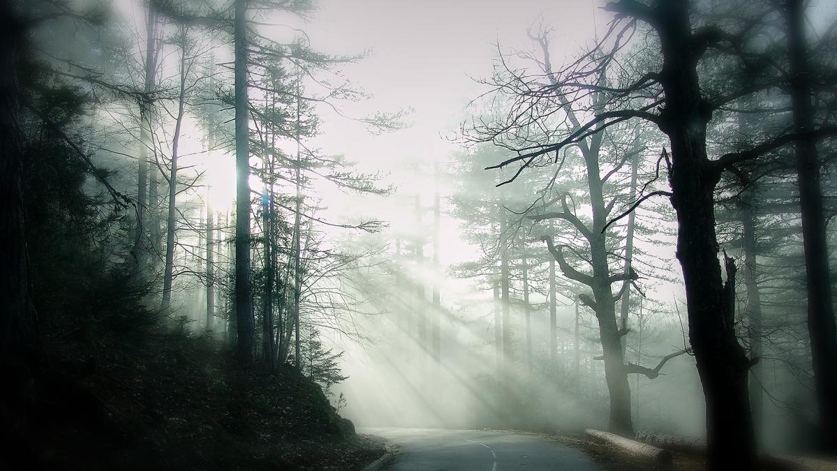 Les rayons de l'aube